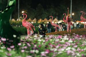 BIB: 
                            <button type="button" onclick="openModal(27337309)" class="btn btn-primary btn-sm float-right btn-popup" data-toggle="modal" data-target=".modal-high-quality">
                        <i class="fas fa-shopping-cart"></i> Add to Cart
                    </button>
                                            <button type="button" onclick="isThisMe(27337309, true)" class="btn btn-success btn-sm float-right btn-popup btn-isme hidden" data-toggle="tooltip" data-placement="bottom" title="นี่คือรูปของคุณใช่ไหม คลิกที่นี่เพื่อเอาเข้าอัลบั้ม">
                        <i class="fas fa-plus"></i> Add to album
                    </button>
                    <button type="button" onclick="isThisMe(27337309, false)" class="btn btn-warning btn-sm float-right btn-popup btn-isnotme hidden">
                        <i class="fas fa-ban"></i> Remove from album
                    </button>